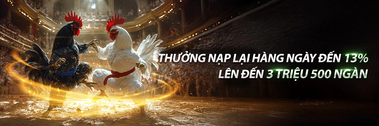 Chương Trình VIP Sonclub 2026