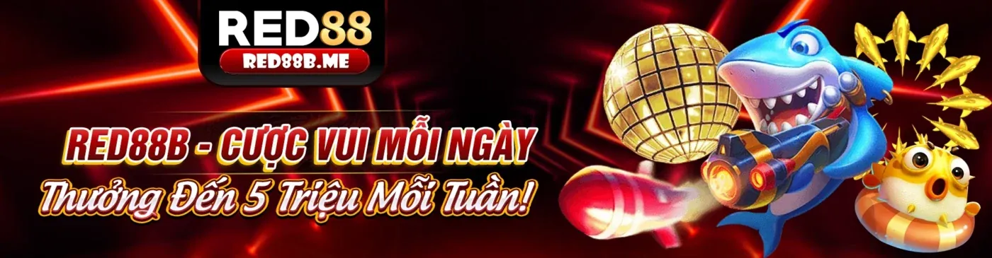 Tổng quan về các điều khoản và quy định của Sonclub
